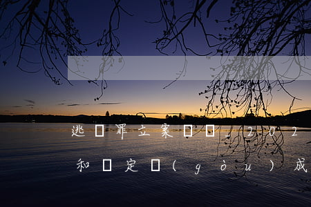 逃稅罪立案標準_2021逃稅罪量刑標準和認定構(gòu)成要件