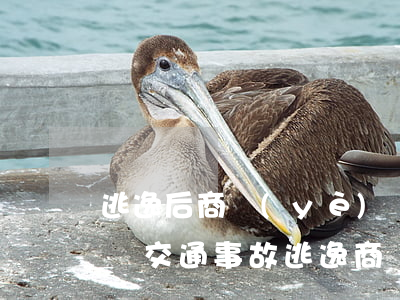 逃逸后商業(yè)險(xiǎn)賠償判決(交通事故逃逸商業(yè)三者險(xiǎn)賠付案例)