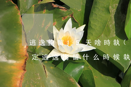 逃逸拘留15天啥時執(zhí)行(交警判定逃逸,拘留什么時候執(zhí)行)