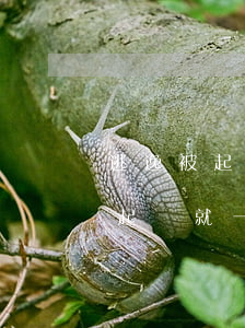 逃逸被起訴有什么影響?(逃逸對(duì)方起訴就一定會(huì)坐牢嗎)