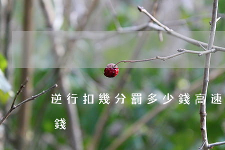 逆行扣幾分罰多少錢(高速逆行扣幾分罰多少錢)