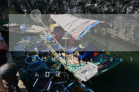 逆行被坑錢(qián)該怎么辦(逆行了怎么處理)