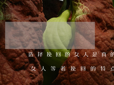 选择挽回的女人是真的害怕离婚吗(闹离婚的女人等着挽回的特点)