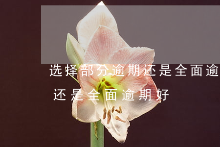 选择部分逾期还是全面逾期部分-部分逾期还是全面逾期好