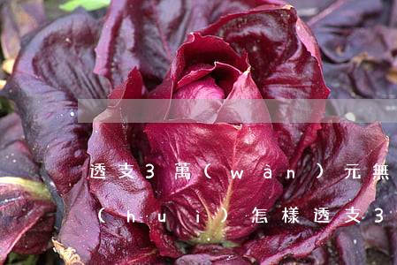 透支3萬(wàn)元無(wú)力償還會(huì)怎樣（透支3萬(wàn)元無(wú)力償還）