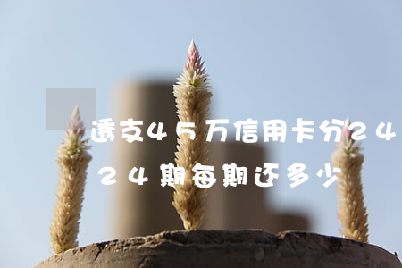 透支45万信用卡分24(五万块钱信用卡分24期每期还多少)