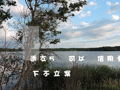 透支5萬可以辦信用卡嗎(信用卡透支5萬以下不立案)