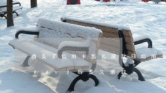 透支了信用卡怎么還款日(信用卡透支消費(fèi)后多久還款)
