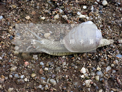 透支了信用卡算逾期嗎(透支了信用卡算逾期嗎)