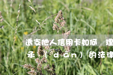 透支他人信用卡如何處理(透支他人信用卡該承擔(dān)的法律責(zé)任)
