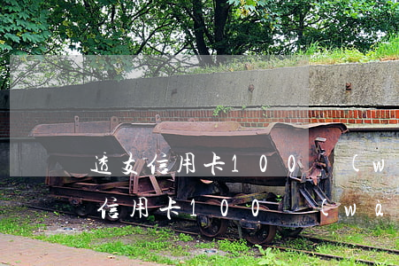 透支信用卡100萬(wàn)還不起(欠了信用卡100萬(wàn)還不起了會(huì)坐牢嗎)