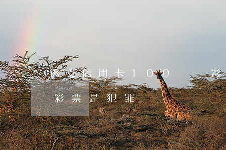 透支信用卡100萬買彩票(用信用卡透支買彩票是犯罪嗎)
