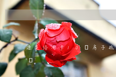 透支信用卡10萬房子抵押(房子抵押貸款十萬)