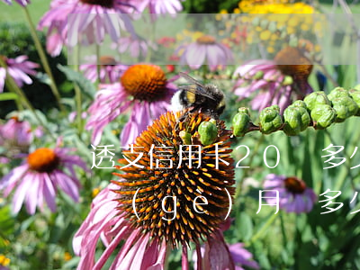 透支信用卡20萬多少才獲(信用卡20萬每個(gè)月還多少)