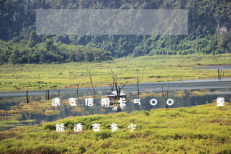 透支信用卡500萬嚴重嗎(信用卡5000能透支多少)