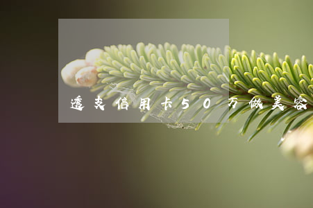 透支信用卡50万做美容(信用卡透支10万)
