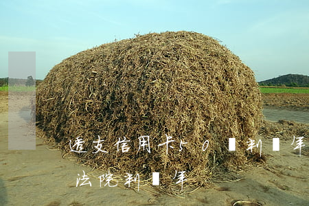 透支信用卡50萬判幾年(信用卡透支50萬法院判幾年)