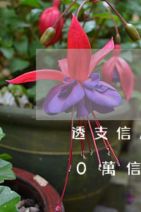 透支信用卡50萬如何養(yǎng)卡(20萬信用卡養(yǎng)卡費用)