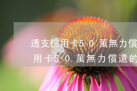 透支信用卡50萬無力償還的后果-透支信用卡50萬無力償還的后果是什么