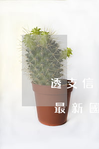 透支信用卡不還定什么罪(信用卡透支不還的最新國(guó)家法律規(guī)定)