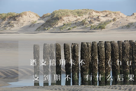 透支信用卡不還會(huì)怎樣(信用卡透支到期不還有什么后果)