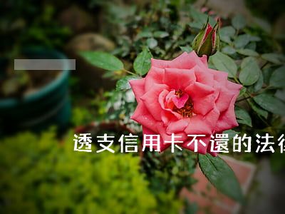 透支信用卡不還的法律后果(欠信用卡透支)