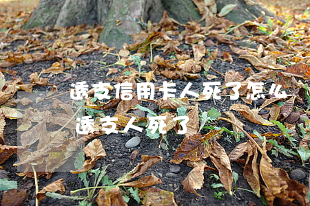 透支信用卡人死了怎么辦(信用卡借給別人用透支人死了)