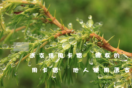 透支信用卡借給朋友的錢(qián)(將信用卡借給他人使用透支)