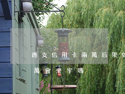 透支信用卡兩萬后果如何(信用卡惡意透支兩萬會坐牢嗎)