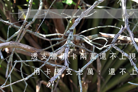透支信用卡兩萬還不上(現(xiàn)在信用卡透支七萬:還不上怎么辦)