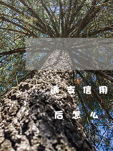 透支信用卡創(chuàng)業(yè)后怎么樣了(為什么有的人用信用卡創(chuàng)業(yè))