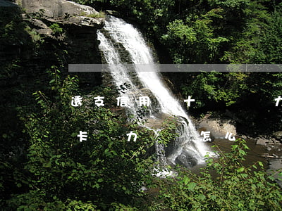 透支信用卡十幾萬無力償還(欠了幾十萬信用卡無力償還怎么辦)