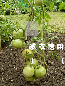 透支信用卡多長(zhǎng)時(shí)間會(huì)被起(透支信用卡20萬(wàn)判多久)