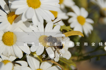 透支信用卡好還是用金條好(透支信用卡好還是用金條好)