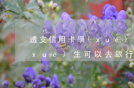 透支信用卡學(xué)生可以申請嗎(學(xué)生可以去銀行申請信用卡嗎)