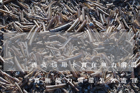 透支信用卡實在無力償還(透支銀行信用卡確實無能力償還怎么處理)