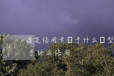 透支信用卡屬于什么類型(利用信用卡透支屬于什么信用)