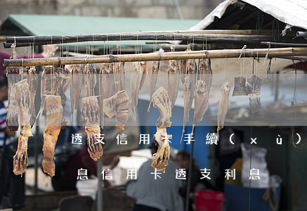 透支信用卡手續(xù)費(fèi)和利息(信用卡透支利息)