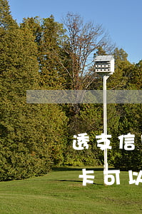 透支信用卡旅游是什么心理(什么銀行的信用卡可以透支)