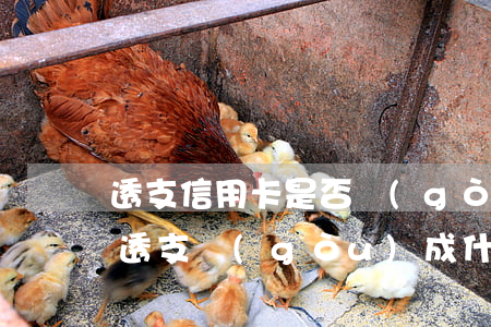 透支信用卡是否構(gòu)成犯罪(信用卡透支構(gòu)成什么罪)