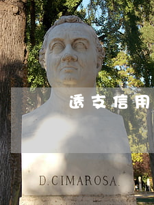 透支信用卡是透支誰的錢(信用卡什么叫透支)