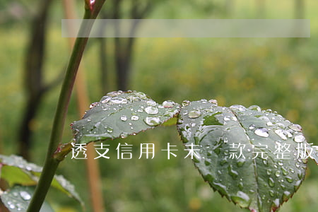 透支信用卡未還款完整版