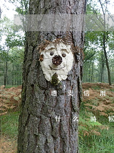 透支信用卡每天多少利息(信用卡透支利息是什么時候開始算)