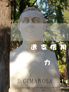 透支信用卡無力償還怎么辦(透支了信用卡但無力償還會怎么樣)