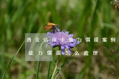 透支信用卡無力償還案例(透支卡欠款太多無能力償還怎么處理)