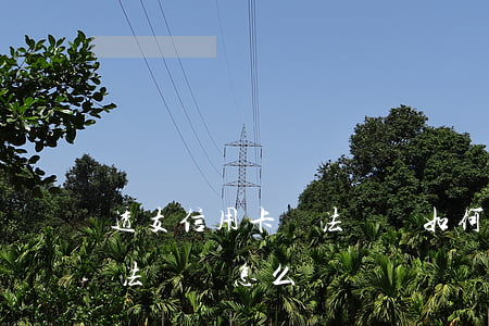 透支信用卡無法償還如何做(刷信用卡透支無法歸還怎么辦)