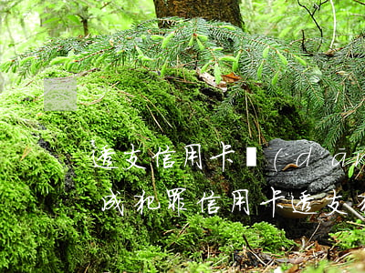 透支信用卡當(dāng)心構(gòu)成犯罪(信用卡透支犯罪司法解釋)