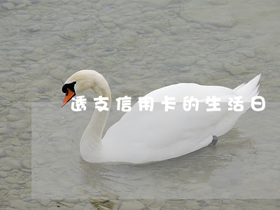 透支信用卡的生活日記(信用卡透支案例)