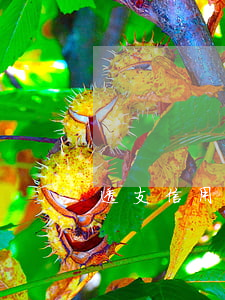 透支信用卡算不算逾期了