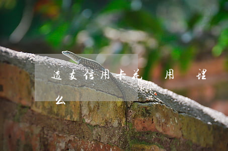 透支信用卡花唄用來理財(花唄投資理財是什么)